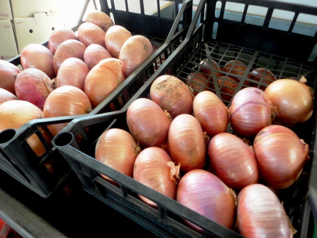 Tenuta Montelaura Forino Esterno foto