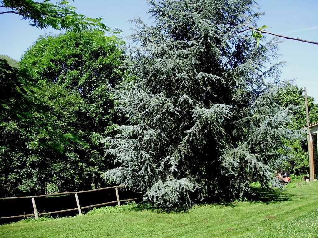 Tenuta Montelaura Forino Esterno foto