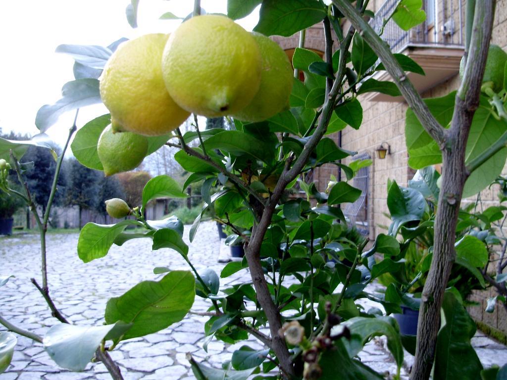 Tenuta Montelaura Forino Esterno foto