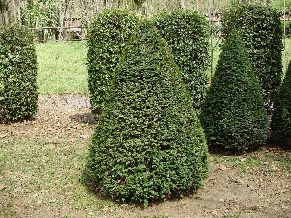 Tenuta Montelaura Forino Esterno foto