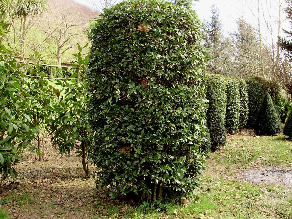 Tenuta Montelaura Forino Esterno foto