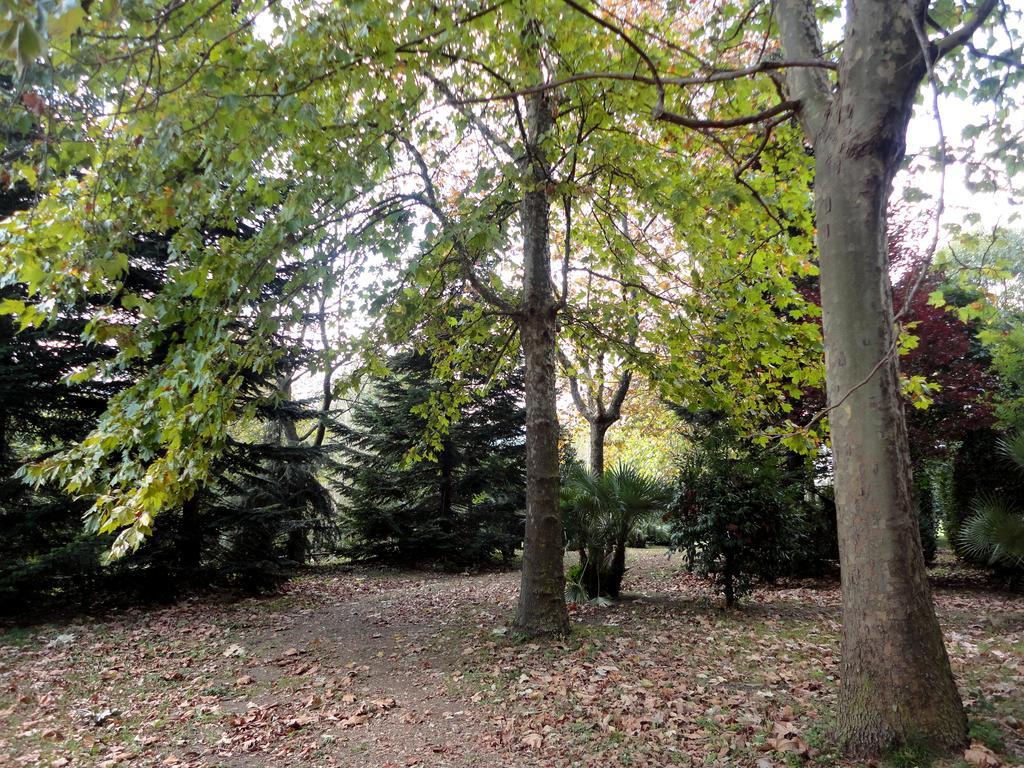 Tenuta Montelaura Forino Esterno foto