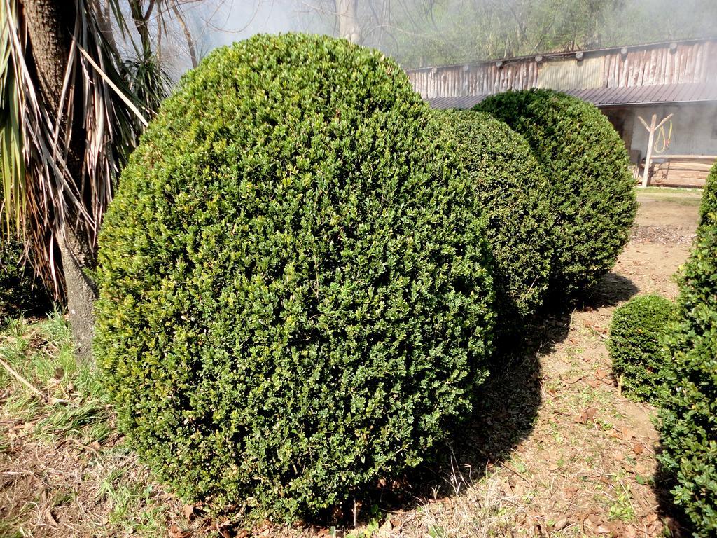 Tenuta Montelaura Forino Esterno foto
