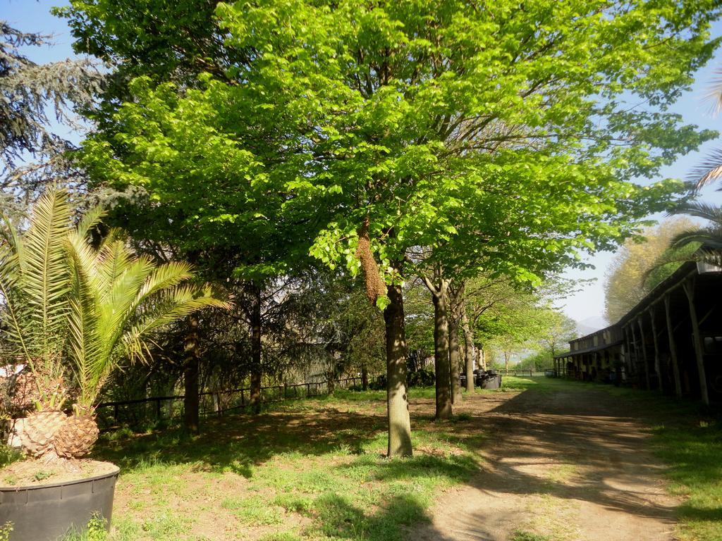 Tenuta Montelaura Forino Esterno foto