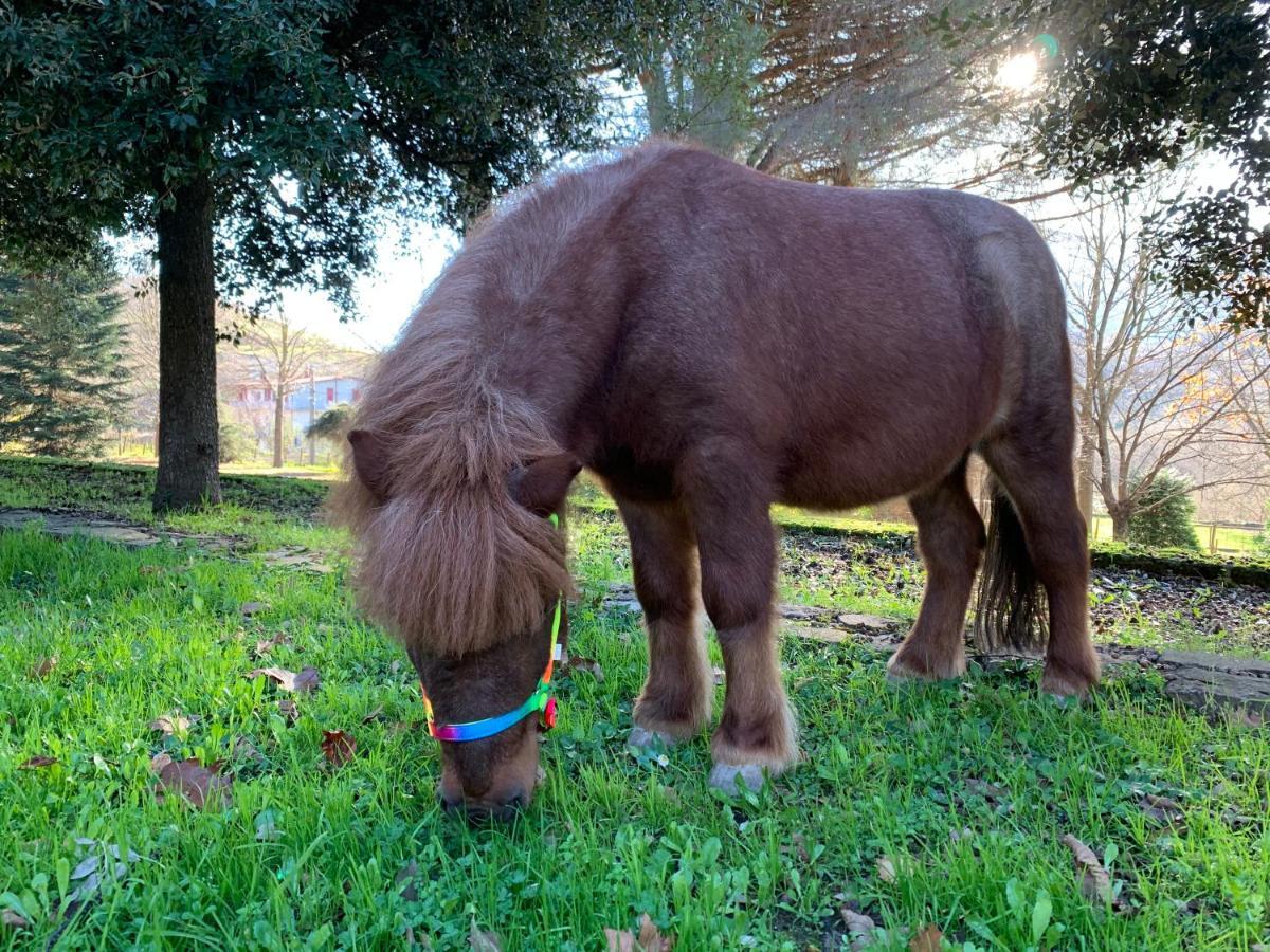 Tenuta Montelaura Forino Esterno foto